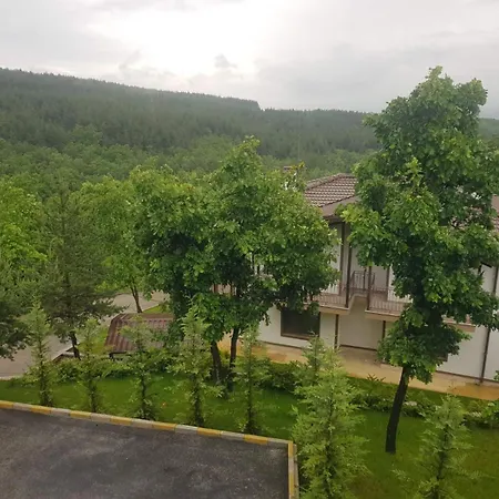 Nara Pchelin